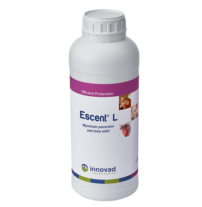 Escent L