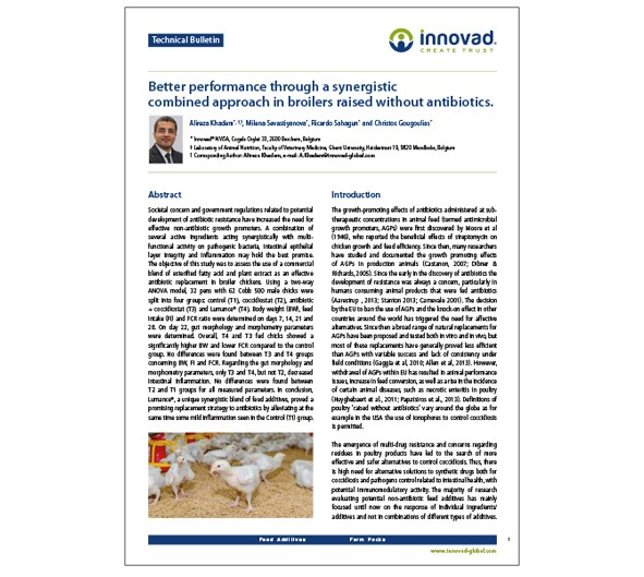 Better performance in broilers raised without antibiotics