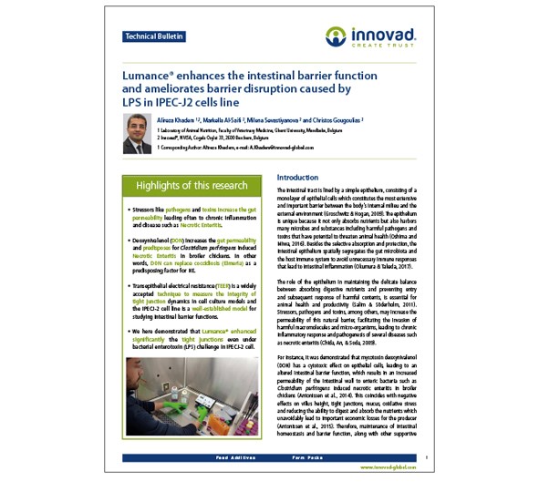 Intestinal barrier function