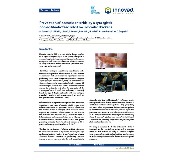 Preventing necrotic enteritis