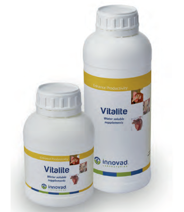 Vitalite
